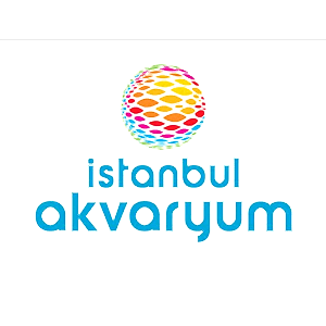 Başarısoft | Bilgi Teknolojileri Akademisi
